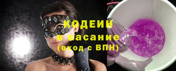 индика Карпинск