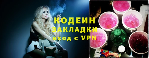 индика Карпинск