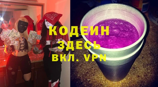 индика Карпинск