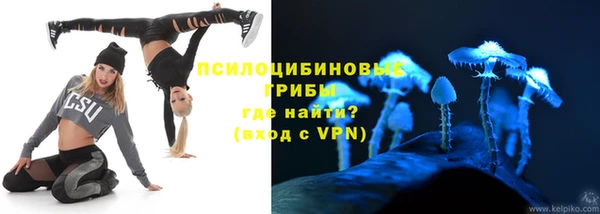 индика Карпинск