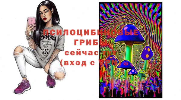 2c-b Касимов