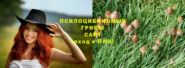 индика Карпинск