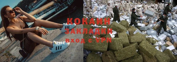 индика Карпинск