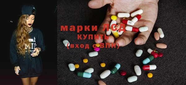 индика Карпинск