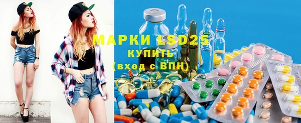 индика Карпинск
