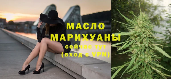 индика Карпинск