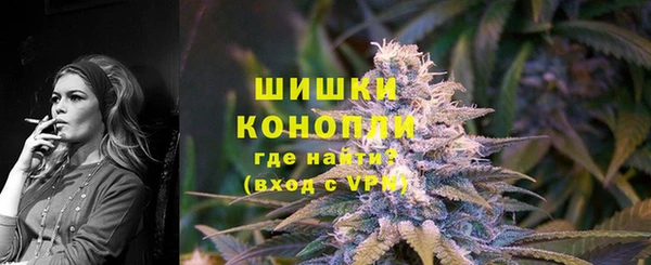 индика Карпинск